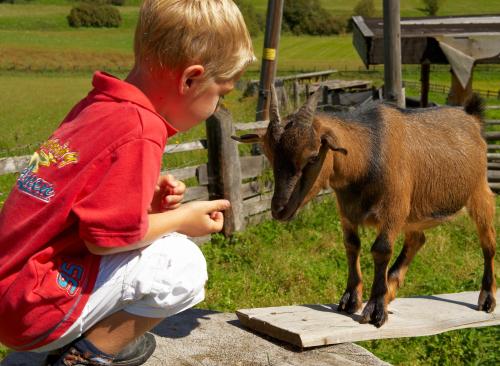 Blasiwirt - image 12