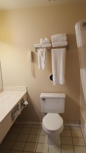 Flat Creek Lodge - image 7