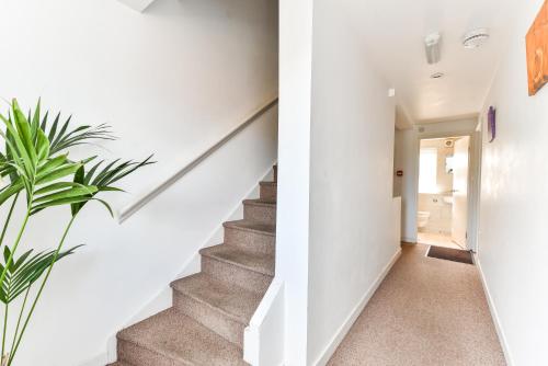 City View House - image 12