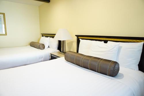 Economy Double Room image 5