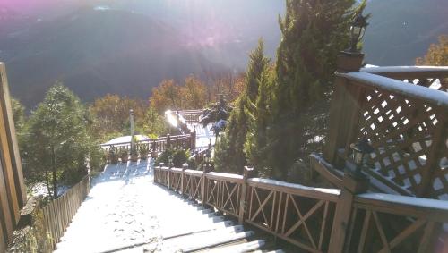 Aurora Villa - image 5