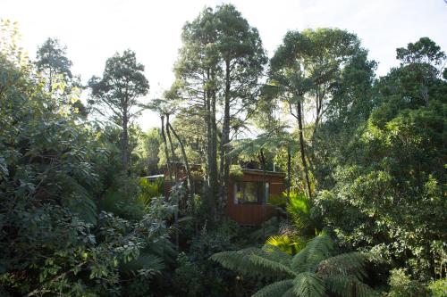 Te Nikau Retreat in ปูนาไกกิ