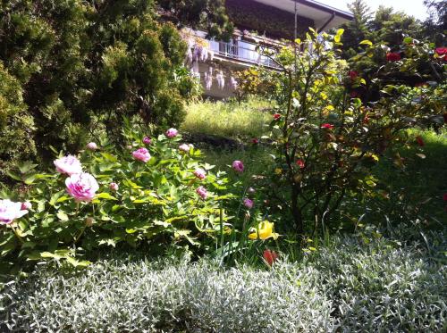 B&B Le Ortensie -Lago di Como - image 11