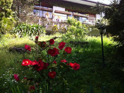 B&B Le Ortensie -Lago di Como - 전망