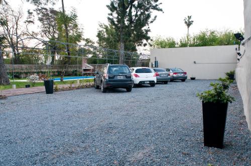 Hotel Papiros, Paysandú (fotografie 8)