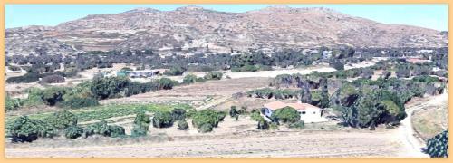  Naturfarm Rhodos in Kalithies