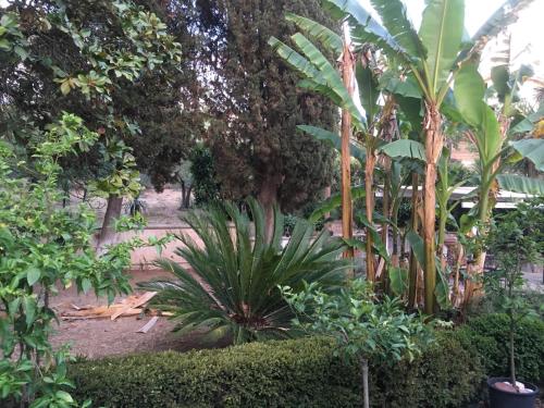 维莱塔奥利恩托乡村民宿