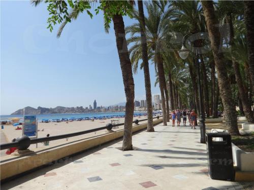 Apartamentos Benidorm Chorrol - image 11