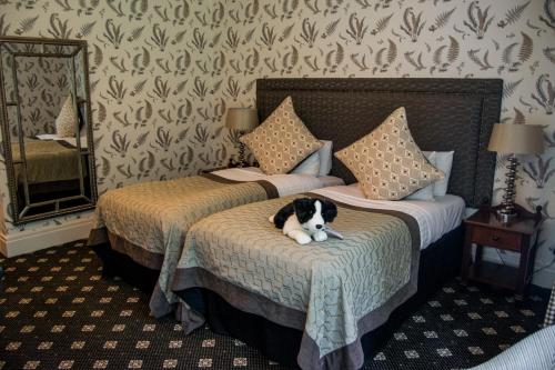 2 twin beds