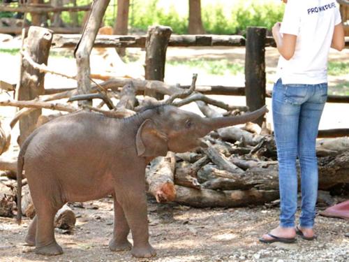 NATURE LOVERS family SAFARI RESORT