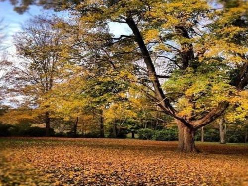 Inn at Fox Hill Farm in Putnam