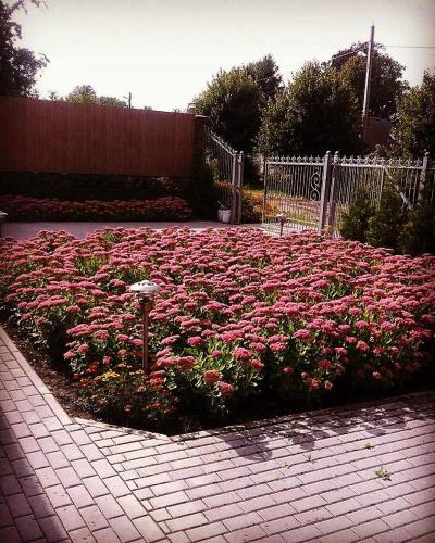 Дом Западный - Guest House Zapadniy - main image