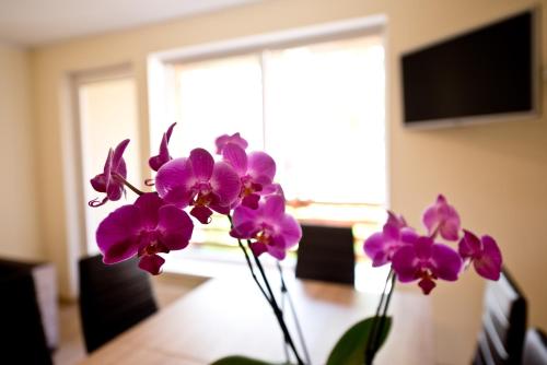 Bella Jūrmala ApartHotel Bella Jūrmala ApartHotel