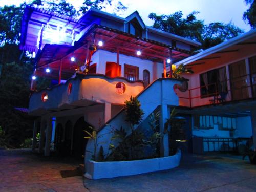 How to Experience Lake Arenal Near La Fortuna, Costa Rica