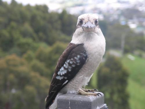 Point of View Villas