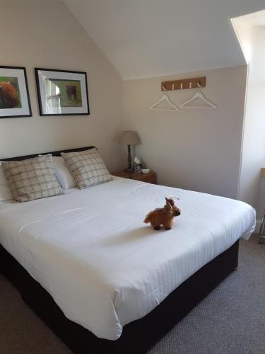 Loch Ness Guest House - Tap to explore photos