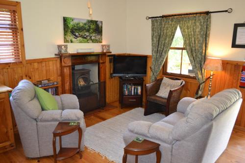 Forest Edge Forest Edge