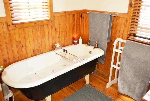 Forest Edge Forest Edge