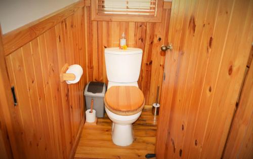 Forest Edge Forest Edge