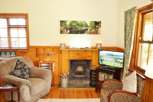 Forest Edge Forest Edge