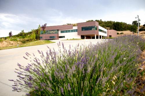 Hotel Bodegas Traslascuestas, Valcavado de Roa bei Peñaranda de Duero