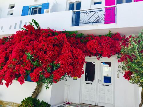 Aphrodite Boutique Hotel