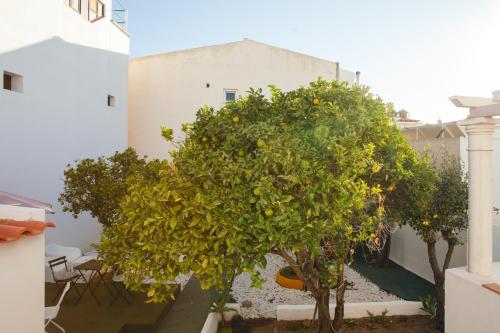 Сад, Orange3 Hostel in Лагос