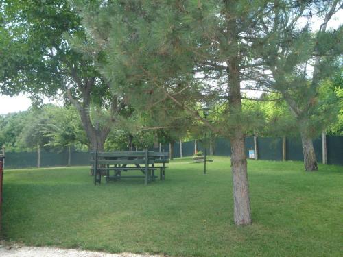 Country House Il Tiglio - image 6