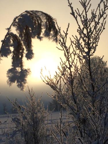 Zur lieben Sonne