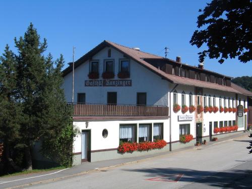 Panorama-Landgasthof Ranzinger - Hotel - Schöfweg