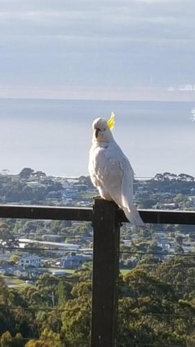 Point of View Villas