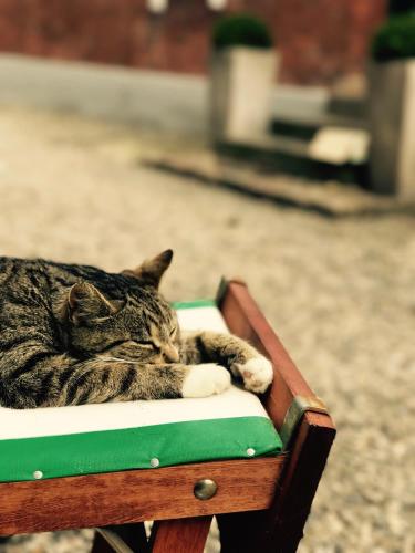 Ferienhof Utech - image 13