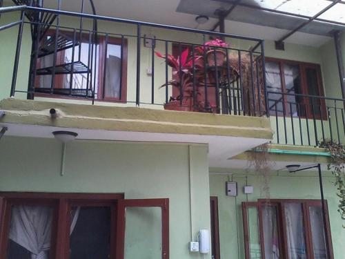 8-Bed Mixed Dormitory Room