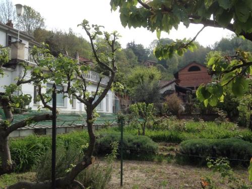 Il Piuns