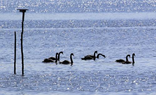 A környék, River Walk B&B in Robigana
