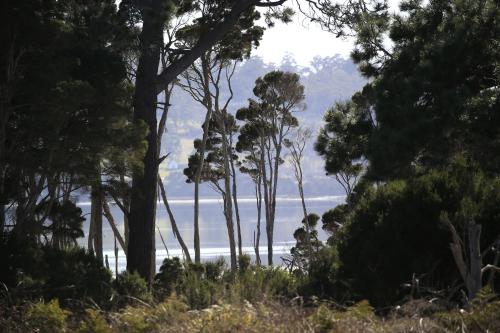 A környék, River Walk B&B in Robigana