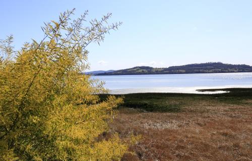 A környék, River Walk B&B in Robigana