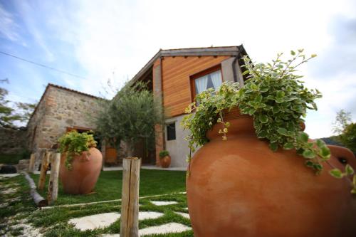  I grilli b&b, Pension in Baone bei Agugliaro