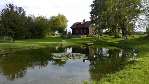 House in nature