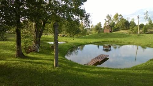 House in nature