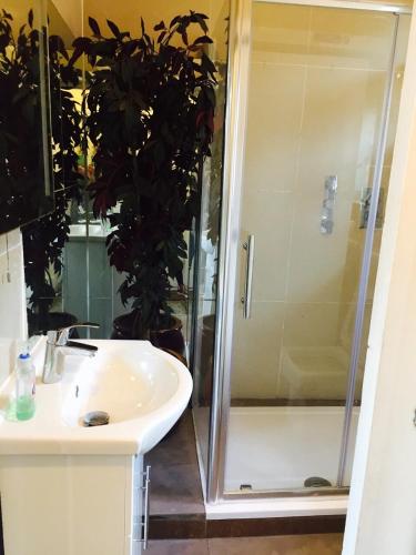 Prince Arthur - image 6