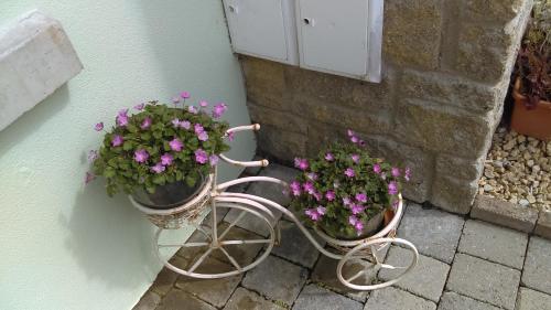 Garden View Self Catering Lough Rynn