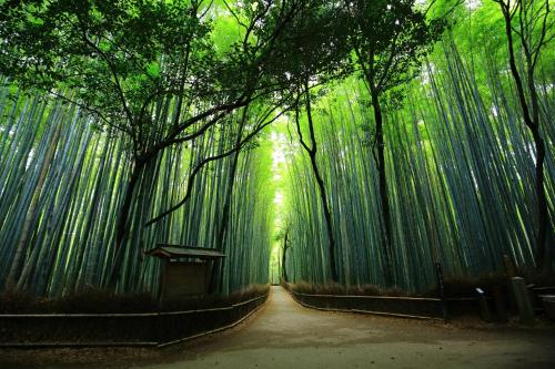Nearby attraction, SAIZEN Matsumuro stay in Nishikyo