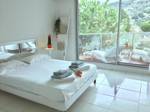Appartements Cannes - Vallauris