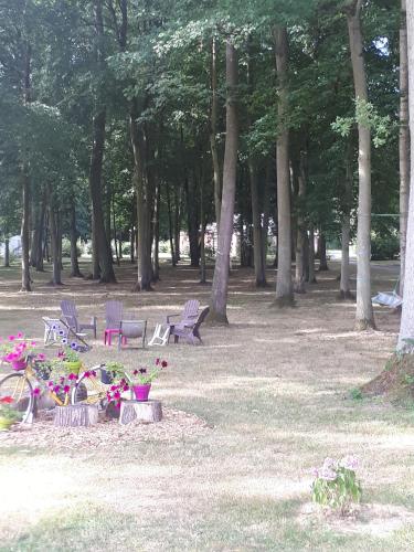 Apkārtne, Gite Le Bois Fleuri in Iljēra-Kombrē