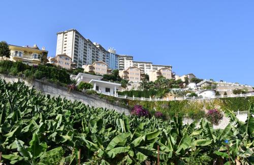  Apartments in Goldcity Tourist Complex, Pension in Kargıcak bei Belen