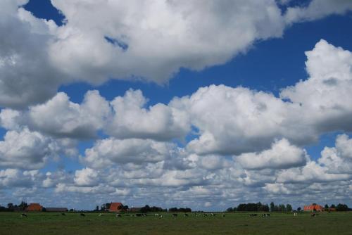 The Old Labor House 1525 in สกูล