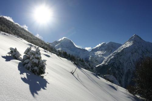Vacanceole - Résidence Goléon -Val Ecrins - image 13