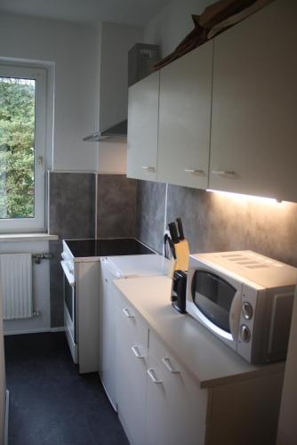 Apartmenthaus am Rennplatz - image 6