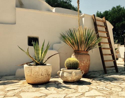 Il Saraceno B&B – Carovigno, AR